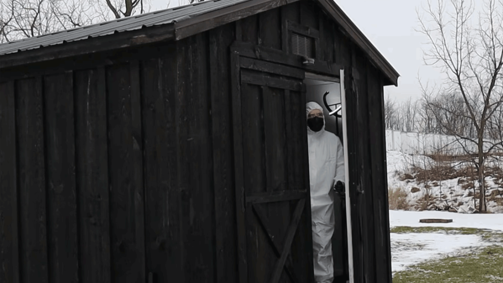 Featured image from article